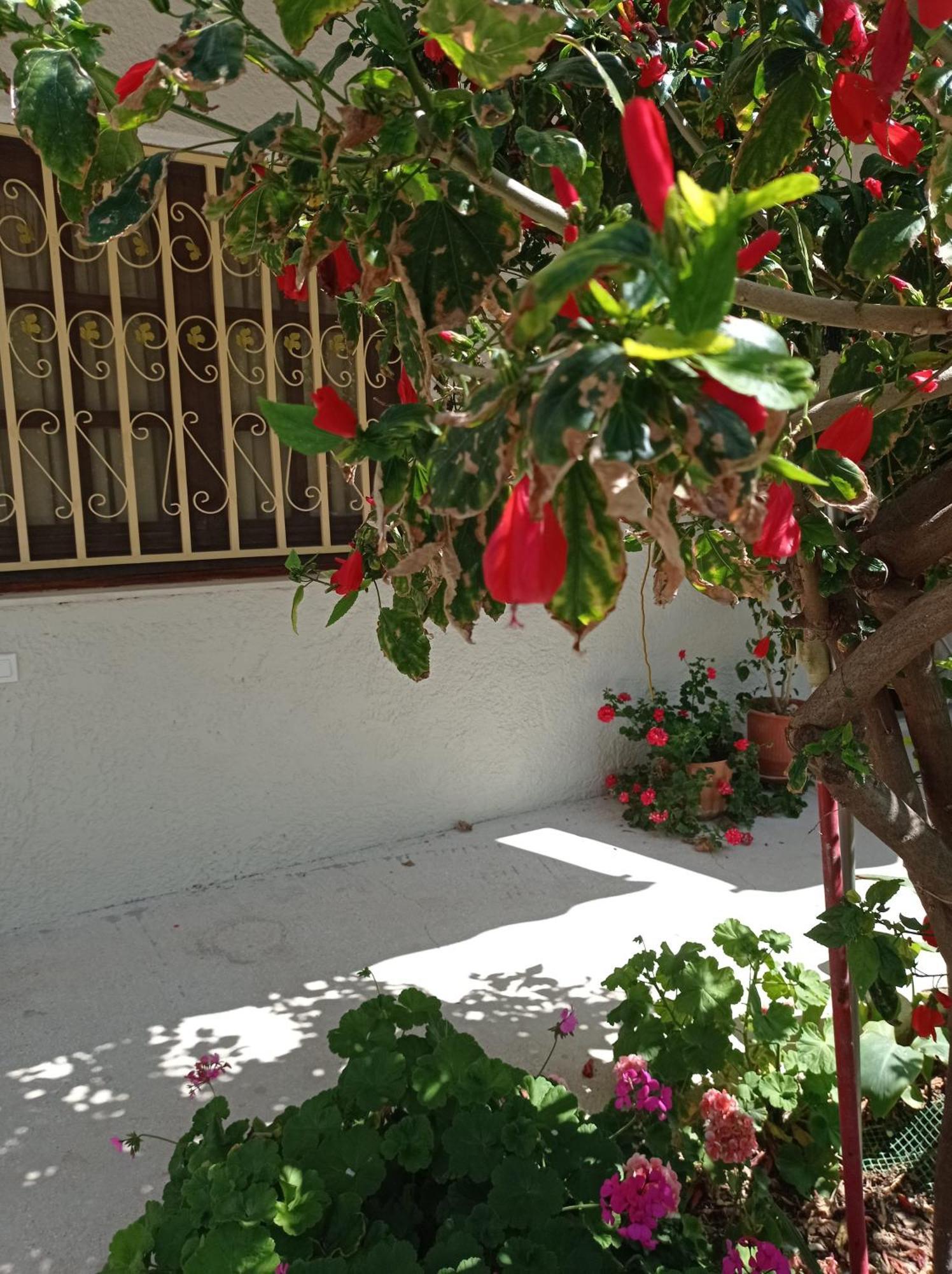 Tasos Seagull Apartments Ханя Екстериор снимка